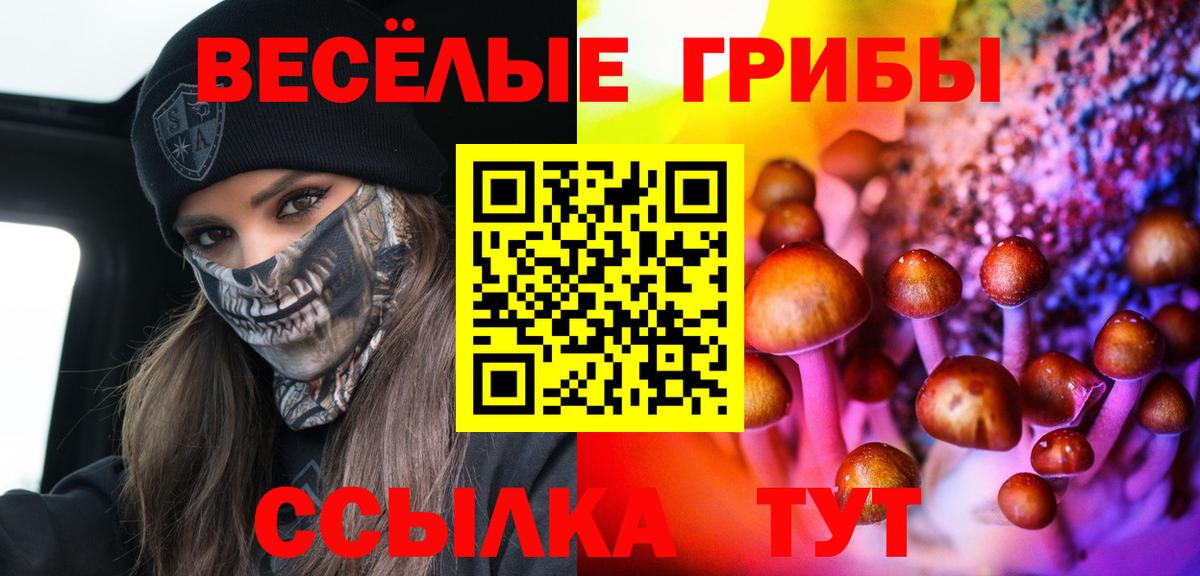 Галлюциногенные грибы Psilocybe  как найти   Батайск  Вход с VPN  Галлюциногенные грибы MAGIC MUSHROOMS 